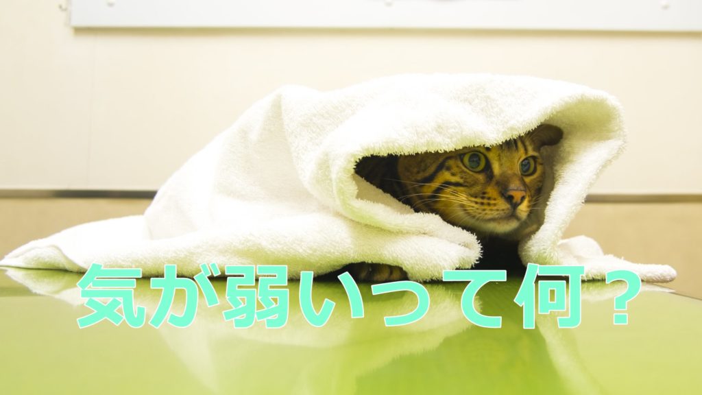 自我が弱い弊害を精神分析学の「自我・超自我・エス」から解説